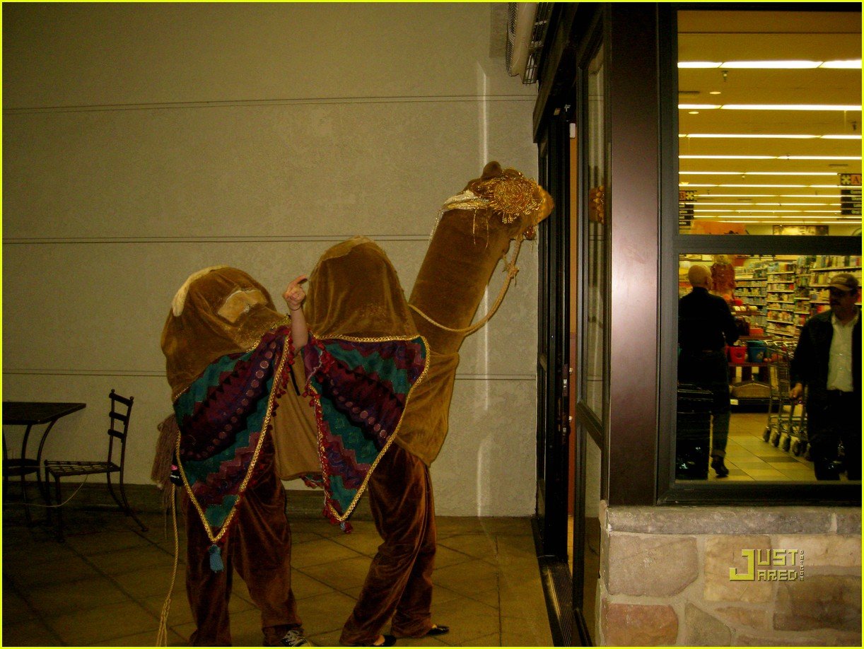 hump camel