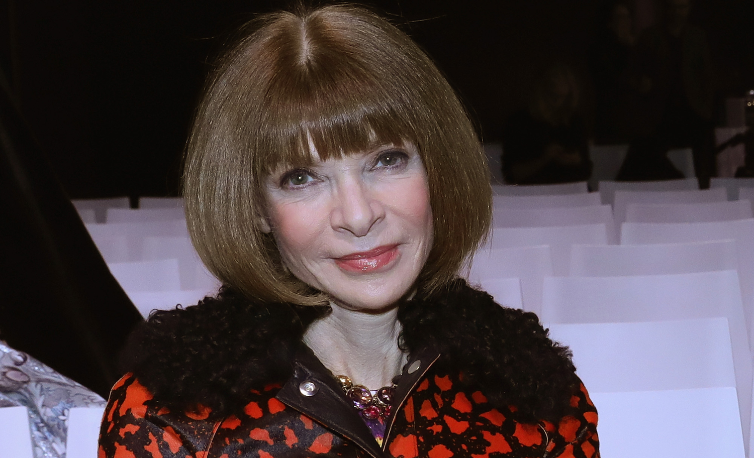 Anna Wintour Welcomes First Granddaughter!